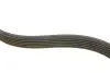 Ремень генератора Citroen Jumper/Fiat Ducato/Peugeot Boxer 2.0 94- (6PK700) INA FB 6PK700 (фото 2)