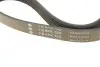 Ремень генератора Citroen Jumper/Fiat Ducato/Peugeot Boxer 2.0 94- (6PK700) INA FB 6PK700 (фото 4)