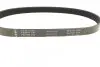 Ремень генератора Citroen Berlingo/Fiat Ducato/Peugeot Boxer/Expert 1.9 D/TD 96-03 (6PK730) INA FB 6PK730 (фото 2)