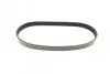 Ремень генератора Citroen Berlingo/Fiat Ducato/Peugeot Boxer/Expert 1.9 D/TD 96-03 (6PK730) INA FB 6PK730 (фото 4)