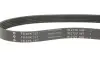 Ремінь генератора VW Caddy III 1.4i/Roomster/Polo 1.4, 03- INA FB 6PK737 (фото 4)