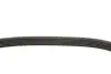 Ремень генератора VW Polo/Skoda Fabia 1.9SDI/TDI 01-12 (6PK780) INA FB 6PK780 (фото 3)