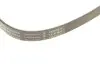 Ремень генератора BMW 2 Grand Tourer (F45)/X1 (F48) 03/15- (B38A15) INA FB 6XPK1715 (фото 3)