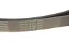 Ремень генератора Land Rover Range Rover Sport 05-13/Discovery 2.7D 04- (8PK2093) INA FB 8PK2093 (фото 5)