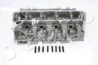 Головка блока цилиндров (ГБЦ) Renault Logan (05-12), Kangoo (01-), Megane II (03 JAPKO JNS013S