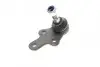Опора шаровая (передняя/снизу) Ford Focus II 04-12/C-Max 07-10/Volvo C30/C70/S40/V50 04-13 KAPIMSAN 08-04705 (фото 4)