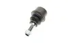 Опора кульова (передня/знизу) VW Amarok 10- KAPIMSAN 23-06224 (фото 3)
