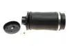 Подушка пневмопідвіски (ззаду) MB ML-class (W164/W166)/GL-class (X164/X166) 06-15 KAVO PARTS SAS-10006 (фото 1)