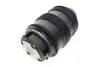 Подушка пневмоподвески (сзади) MB E-class (W211) 03-10 KAVO PARTS SAS-10026 (фото 3)