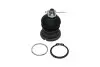 Кульова опора (шарнір) KAVO PARTS SBJ-2002 (фото 1)