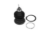 Кульова опора (шарнір) KAVO PARTS SBJ-2002 (фото 4)