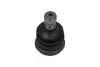 Опора кульова (передня/знизу) Hyundai Santa Fe I/II 00-/Kia Sorento II 09- KAVO PARTS SBJ-3017 (фото 3)