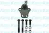 Опора шаровая (передняя/снизу) Isuzu Campo -82 KAVO PARTS SBJ-3510 (фото 2)