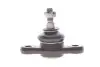Опора кульова (передня/знизу) Hyundai i30/ Kia Cee\'d 06- KAVO PARTS SBJ-4010 (фото 1)