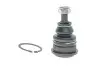 Кульова опора (шарнір) KAVO PARTS SBJ-5501 (фото 1)