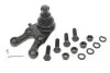 Опора кульова (передня/знизу/L) Mitsubishi Pajero 90- KAVO PARTS SBJ-5507 (фото 1)