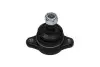 Кульова опора (шарнір) KAVO PARTS SBJ-5516 (фото 3)