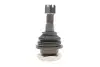 Опора кульова (передня/знизу) Nissan Navara 2.5 TD 98-07 KAVO PARTS SBJ-6501 (фото 4)
