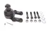 Опора кульова (передня) Nissan Terrano II 92-02 KAVO PARTS SBJ-6502 (фото 1)
