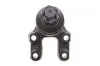 Опора кульова (передня) Nissan Terrano II 92-02 KAVO PARTS SBJ-6502 (фото 4)