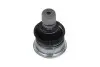 Шаровая опора (шарнир) KAVO PARTS SBJ-6537 (фото 1)