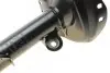 Амортизатор (передний) Honda CR-V 07-(L) KAVO PARTS SSA-10283 (фото 5)