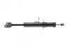 Амортизатор (передний) BMW 5 (F10) 10-16 (L) KAVO PARTS SSA-10368 (фото 7)