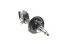 Амортизатор (передний) Mitsubishi Colt 04-12 (L) KAVO PARTS SSA-5541 (фото 5)