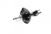 Амортизатор (передний) Subaru Legacy IV 03-09 (L) KAVO PARTS SSA-8004 (фото 7)