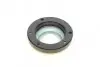 Подушка амортизатора (переднего) + подшипник MB Vito (W639) 03- KAVO PARTS SSM-10153 (фото 6)