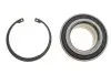 Подшипник ступицы (передней) Honda Accord VII 03- (48x86x42) (+ABS) KAVO PARTS WBK-2039 (фото 1)