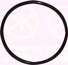 Ущільнювач, датчик рівня палива, Ø64MM KLOKKERHOLM 00540092