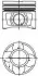 Поршень Skoda Octavia II/VW Golf V/Jeta III 2.0TDI 03- (81.51mm/+0.50) KOLBENSCHMIDT 40356620 (фото 1)