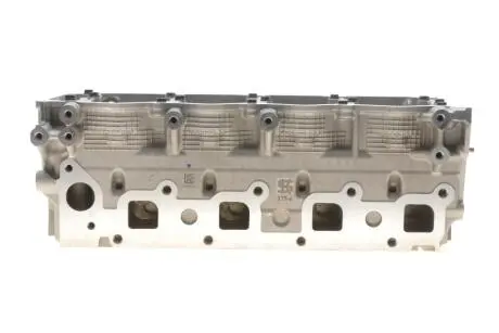 Головка блока цилиндров Nissan Pathfinder 2.5 dCi/X-Trail 2.2 dCi 01- KOLBENSCHMIDT 50003175