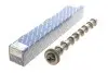Розподільний вал VW Caddy III/IV/ T5/T6/ Crafter 30-50 2.0 TDI 10- (сторона впуска) KOLBENSCHMIDT 50007020 (фото 1)
