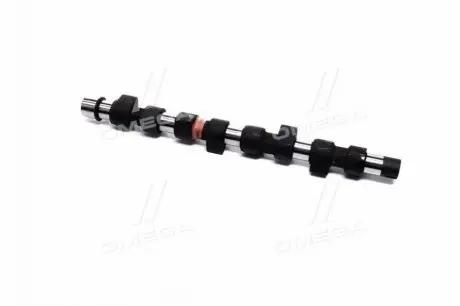 Розподільний вал Fiat Doblo 1.9 JTD 01- KOLBENSCHMIDT 50007038