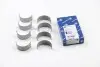 Вкладыши шатунные Caddy III 1.6i +0.25mm KOLBENSCHMIDT 77552610 (фото 1)