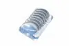 Вкладыши шатунные 0,75 RENAULT/DACIA 1.1/1.2/1.4 C1E/C1J/C2J/E5F/E6J/E7J/K4M/K7M (KS) KOLBENSCHMIDT 87845638 (фото 2)