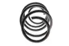 Пружина (передня) BMW X3 (F25) sDrive 18d/20i 12-17 (SUV) (без спорт.ход.ч.) LESJOFORS 4008517 (фото 5)