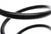 Пружина (передняя) Nissan Qashqai 1.6 07-13 (SUV) (кроме осн: Qashqai+2) LESJOFORS 4062060 (фото 3)