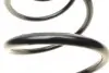 Пружина (передня) Nissan Qashqai 1.5dCi/1.6dCi/2.0 07-14 (SUV) (type Qashqai+2) LESJOFORS 4062069 (фото 2)