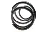 Пружина (передня) Nissan Juke 1.5dCi/1.6DIG-T 10-19 (SUV) LESJOFORS 4062081 (фото 4)