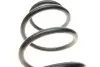 Пружина (передня) Opel Combo 1.4/1.6 04- (вэн/фургон)/Corsa C 1.2 00-06 (хетчбэк/фургон) LESJOFORS 4063480 (фото 2)