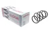 Пружина (передня) Renault Koleos 2.0dCi 4x4 08- (SUV) LESJOFORS 4072989 (фото 1)