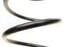 (заміна на 4095065) Пружина (передня) Skoda Roomster 1.2-1.6/1.2TSI 06-15 (вэн/фург)/Seat Ibiza 1.8T/1.9TDI 04-08(хетч) LESJOFORS 4085715 (фото 2)