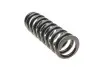 Пружина (передняя) Toyota Land Cruiser Prado 3.0D-4D 02-10 (вездеход закр.) LESJOFORS 4092583 (фото 3)