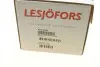 Пружина задняя Chery Tiggo 1.6/2.4 05-10 (SUV) LESJOFORS 4214003 (фото 6)
