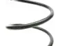 Пружина (задняя) Citroen C3 1.1i/1.4-1.6 16V/1.4-1.6HDi 02- (хэтчбэк) (без сдвиг.панели крыши) LESJOFORS 4215602 (фото 2)
