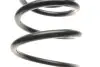 Пружина (задняя) Kia Cerato 1.5-2.0CRDi/1.6/2.0 04- (седан/нах.зад.часть) LESJOFORS 4244216 (фото 2)