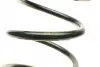 Пружина (задняя) Mazda 323 F IV 1.3-1.9 16V/1.6/2.0D/TD 98-04 (накл. зад.ч) LESJOFORS 4255424 (фото 2)